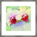 Two Orchids Reading A Letter Framed Print