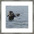 Two Otters Fishing Framed Print