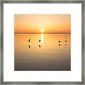Two Pairs Or Four Of A Kind Framed Print