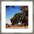 Two Rivers Park Framed Print