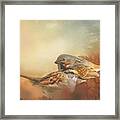 Sparrows In The Marsh 2 Framed Print