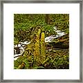 Under The Logs And Through The Woods Framed Print