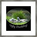 Ugly Duckling Framed Print