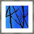 Ultramarine Forest Winter Blues Iii Framed Print