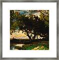 Under The Trees Framed Print