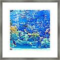 Under Water Framed Print