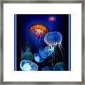 Undersea Dream Framed Print