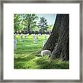 Unkown And Tree At Arlington Cemetery Framed Print