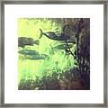 Untitled Framed Print