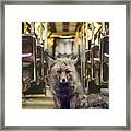 Unwelcome Rider Framed Print