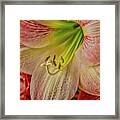 Up Close And Personal Framed Print
