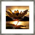 Uplifting Framed Print