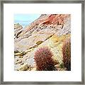 Valley Of Fire Barrel Cactus Framed Print