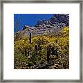 Valley View No.4 Framed Print