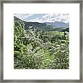 Valleys And Meadows Of New Zealand. Springtime. Queenstown Area. Framed Print