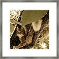 Vantage Point Framed Print