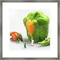 Vegetable Painting Little People On Food Framed Print