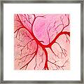 Veins Within Framed Print