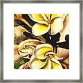 Verticle Plumeria Framed Print