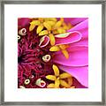 Very Pink Framed Print