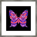 Vibrant Butterfly Framed Print