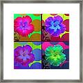 Vibrant Flower Series 2 Framed Print