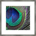 Vibrant Green Feather Framed Print