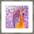 Vibrant Peacock Framed Print