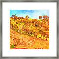 View From Blufftop Trail Framed Print