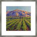 View From The Train Framed Print