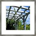 View To The Sky Framed Print