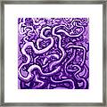 Vines Of Purple Framed Print