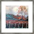 Vineyard Framed Print