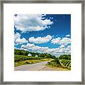 Vineyards In Summer Framed Print