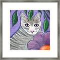 Violet Eyed Cat Framed Print