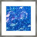 Violet Satin Reflections Framed Print