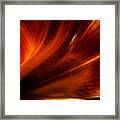 Vision Through The Lilies Framed Print