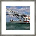 Volgaborg And Blue Water Bridge 3 Framed Print