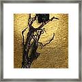 Vulture With Textured Sun Framed Print