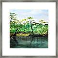 Waccamaw River - Impressionist Framed Print