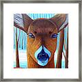 Wait For The Magic Framed Print Wait For The Magic Framed Print