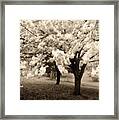 Waiting For Sunday - Holmdel Park Framed Print