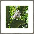 Waiting Or Thinking Framed Print