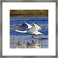 Walking On Water Framed Print