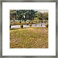 Walking Path And Greenery Framed Print