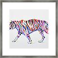 Walking Tiger Framed Print