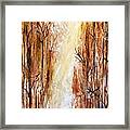 Path To The Creek Framed Print
