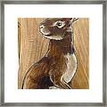Walnutty Bunny Framed Print