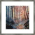 Wander In The Woods Framed Print