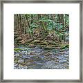 Wandering Stream Framed Print